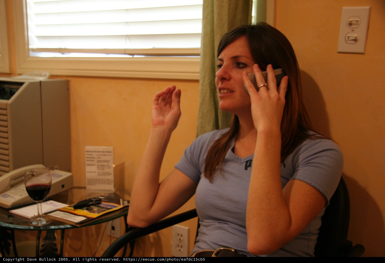 Woman Animatedly Talking on Cell Phone Indoors