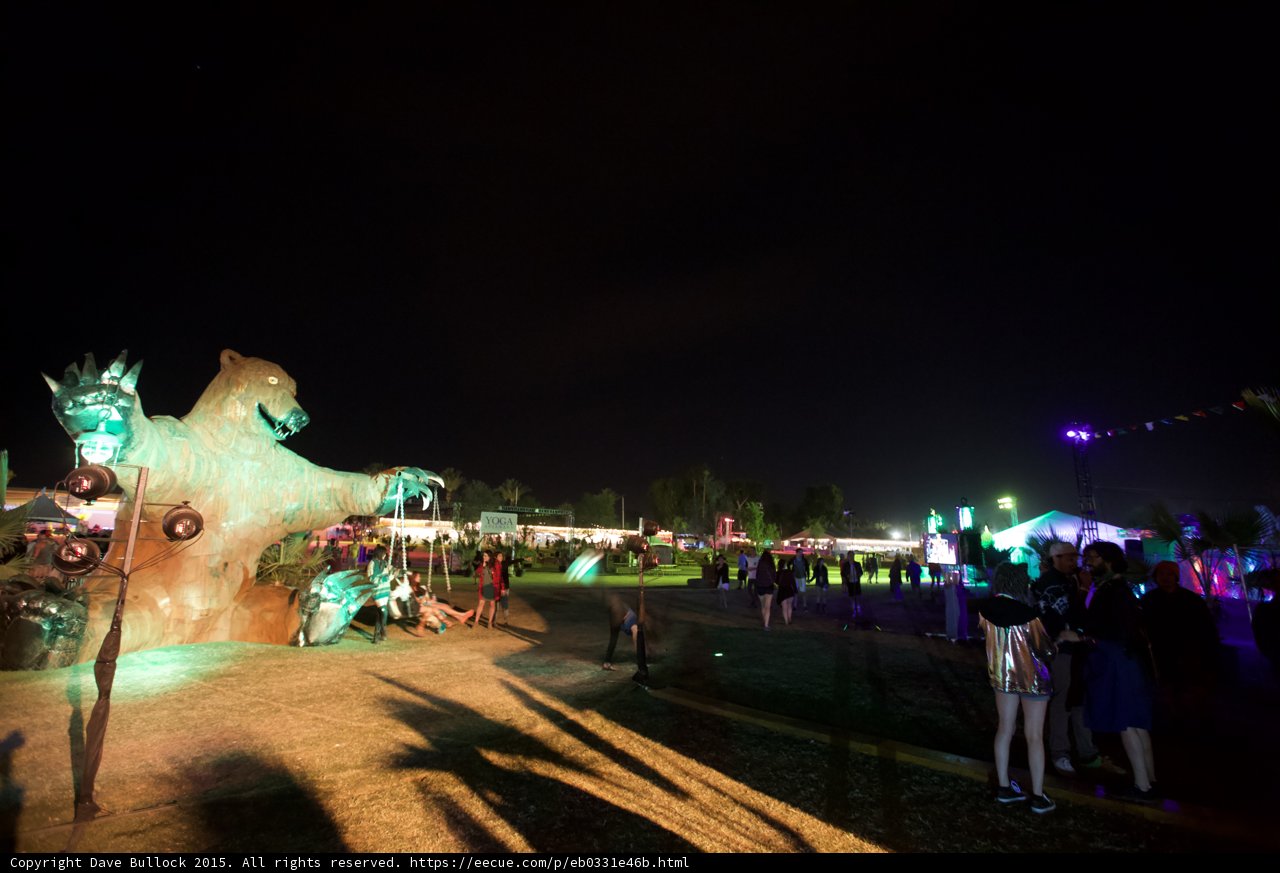 Bear and Crowds at Night