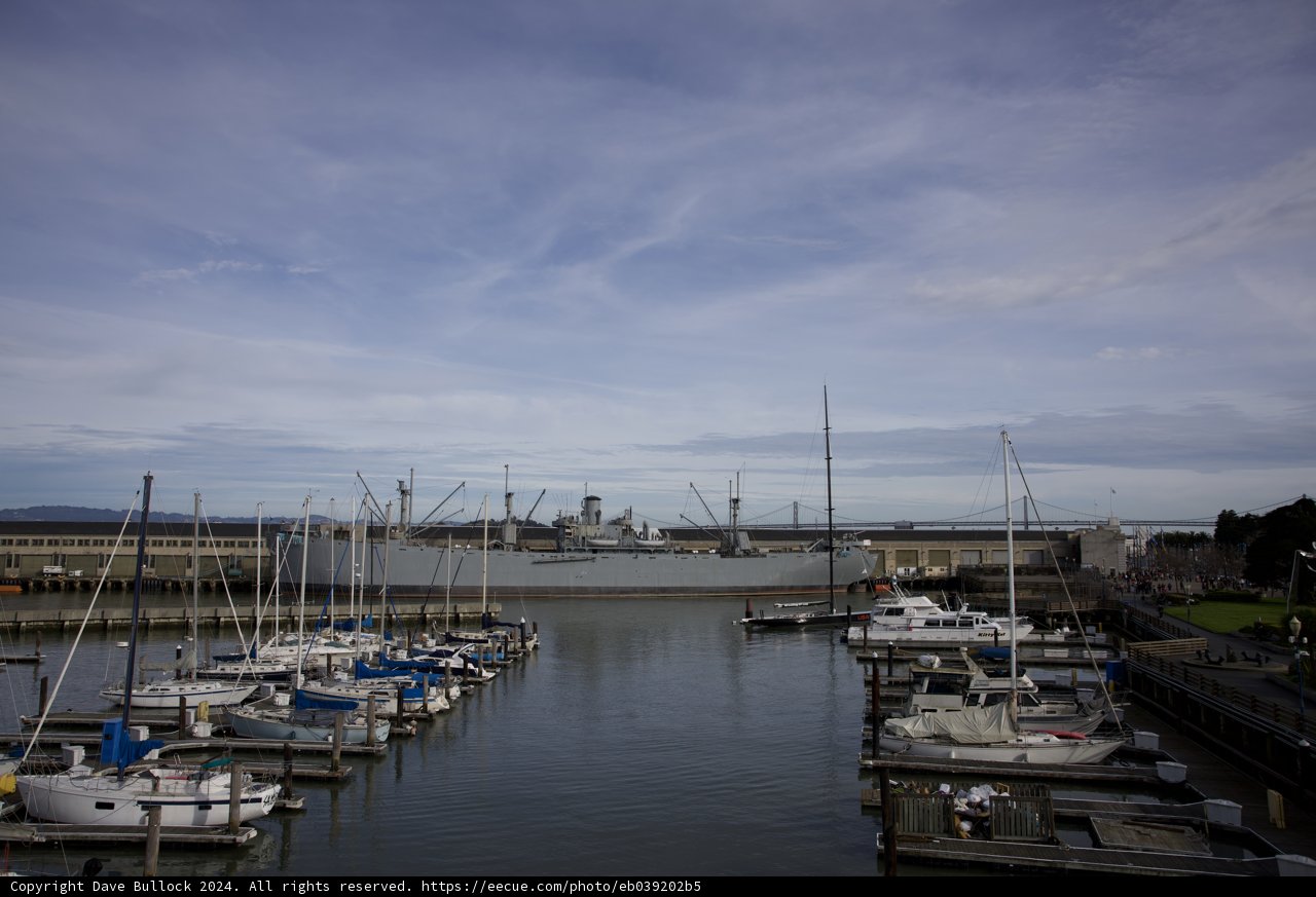 Vibrant Waterfront Marina Scene: The Heartbeat of the Bay