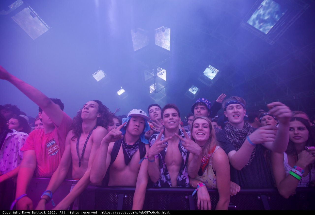 Ecstatic Audience at Coachella 2016