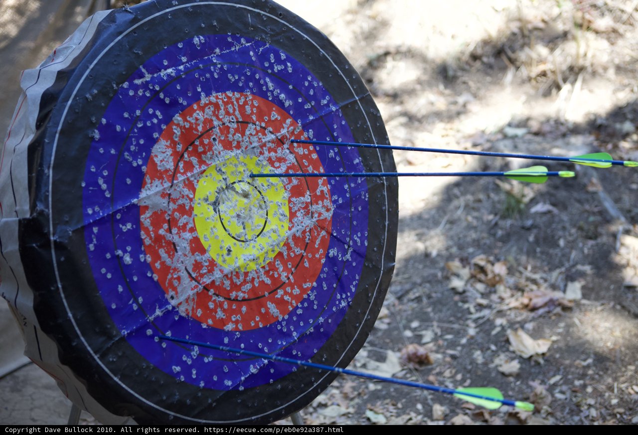 Bull's Eye!