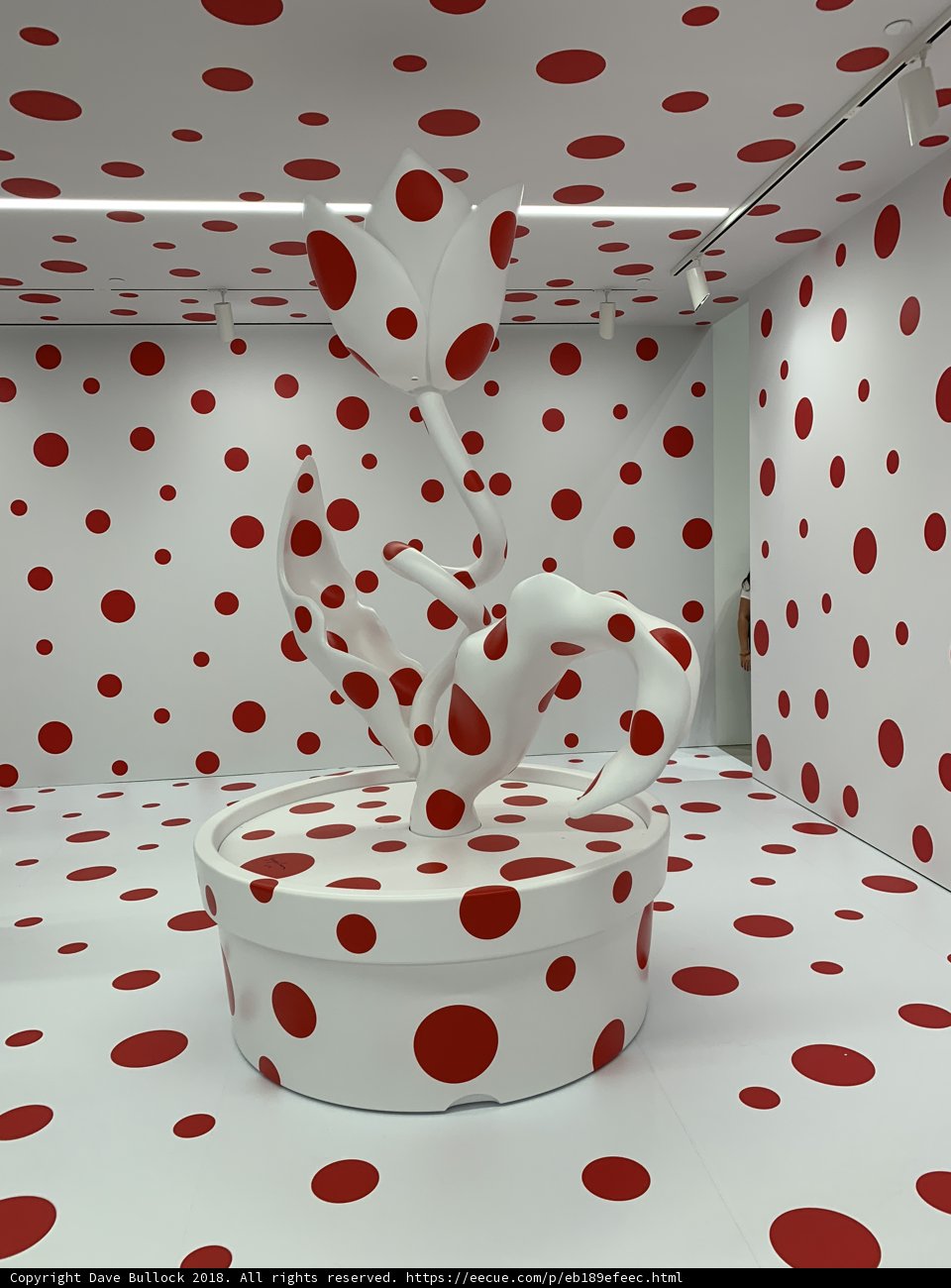 Playful Patterns