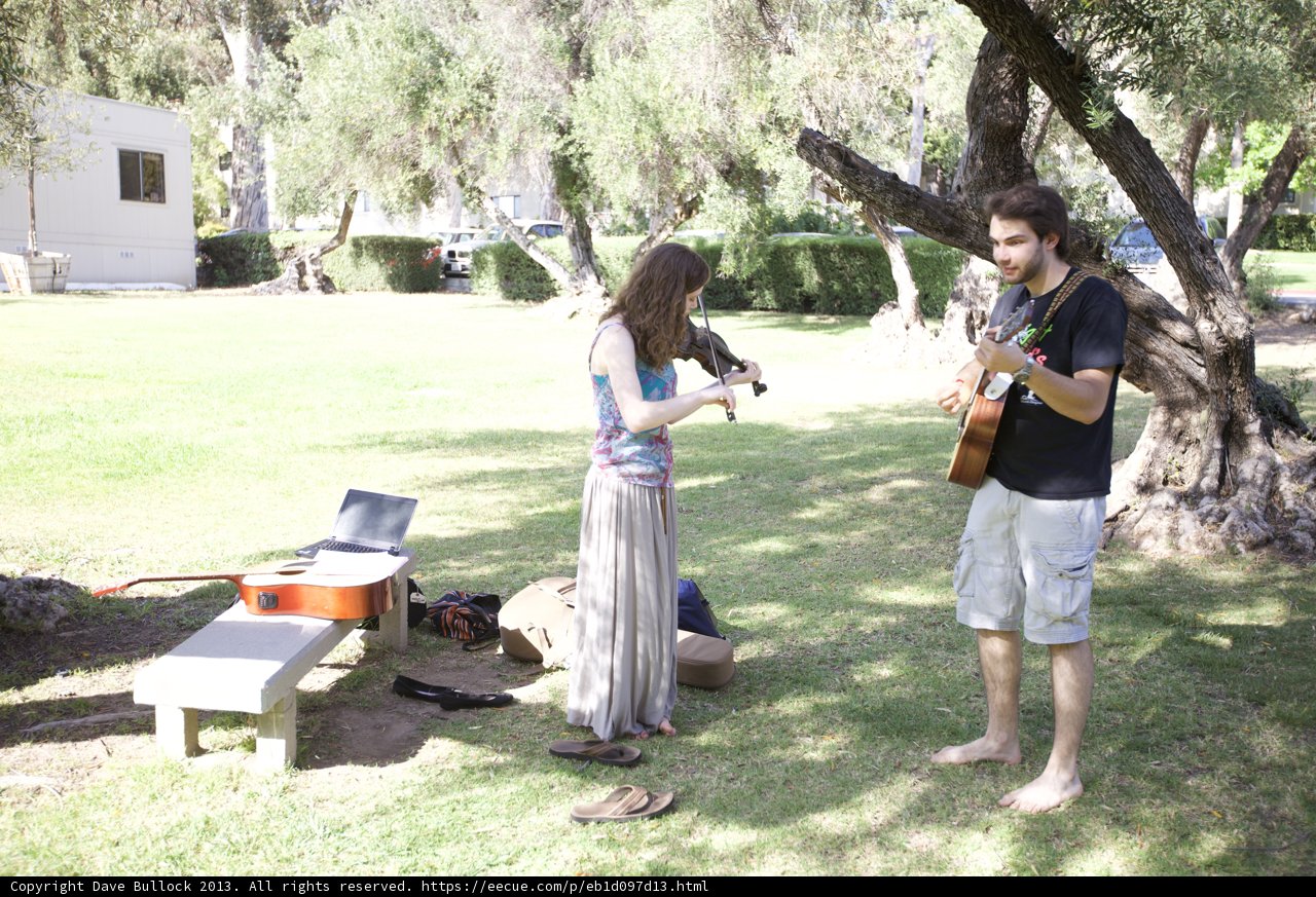 Musical Interlude in the Park
