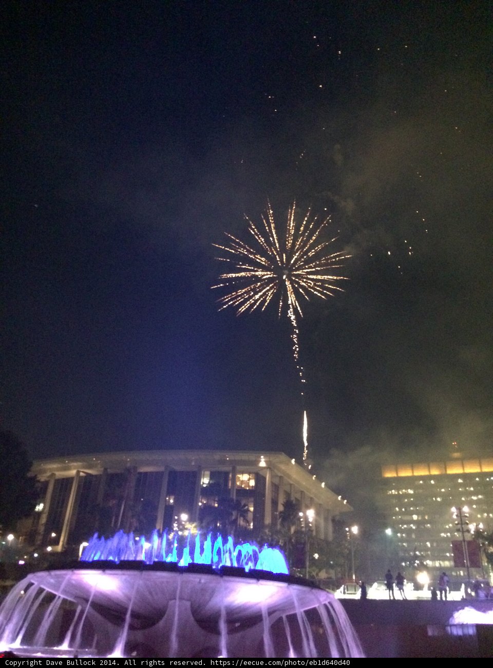 Firework Extravaganza Over Los Angeles Skyline