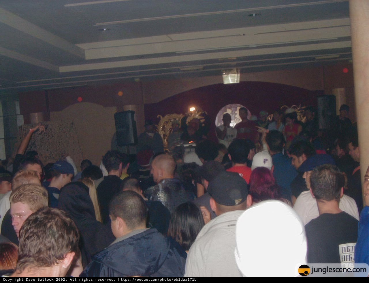 Disco Nights at Urban Coalition 02