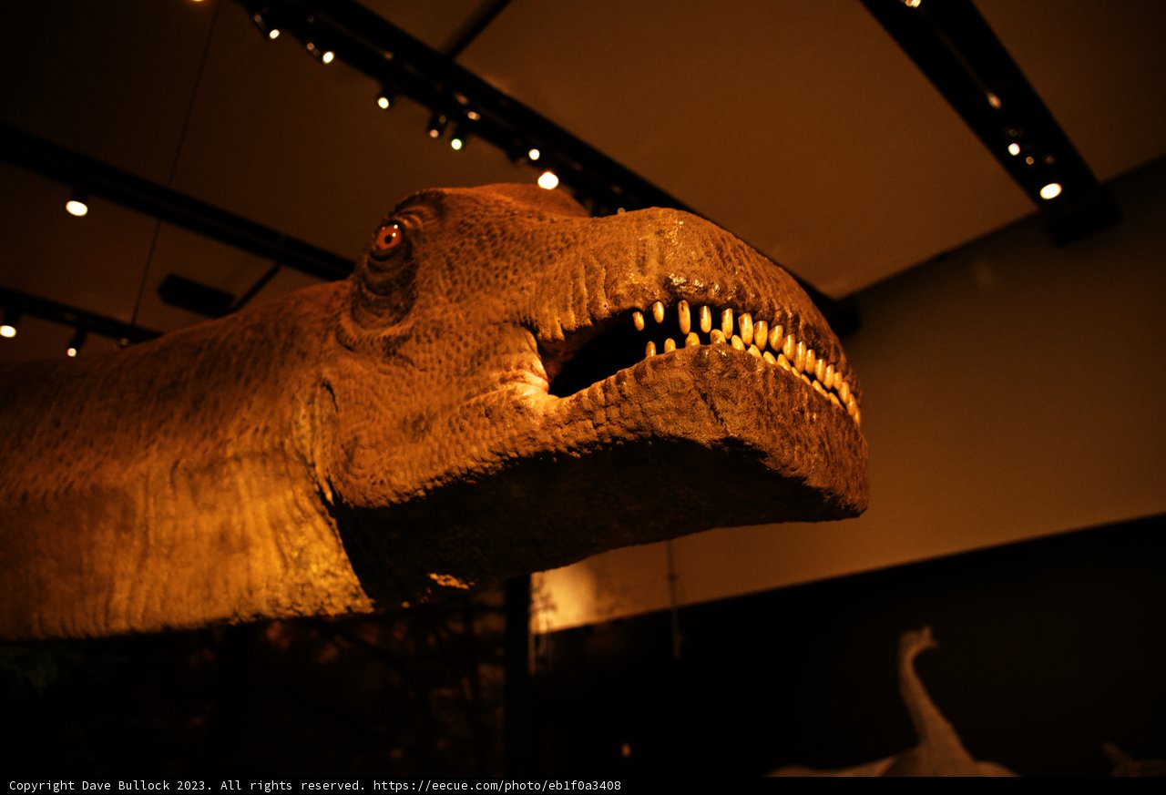 A Blast from the Past at the California Academy of Sciences