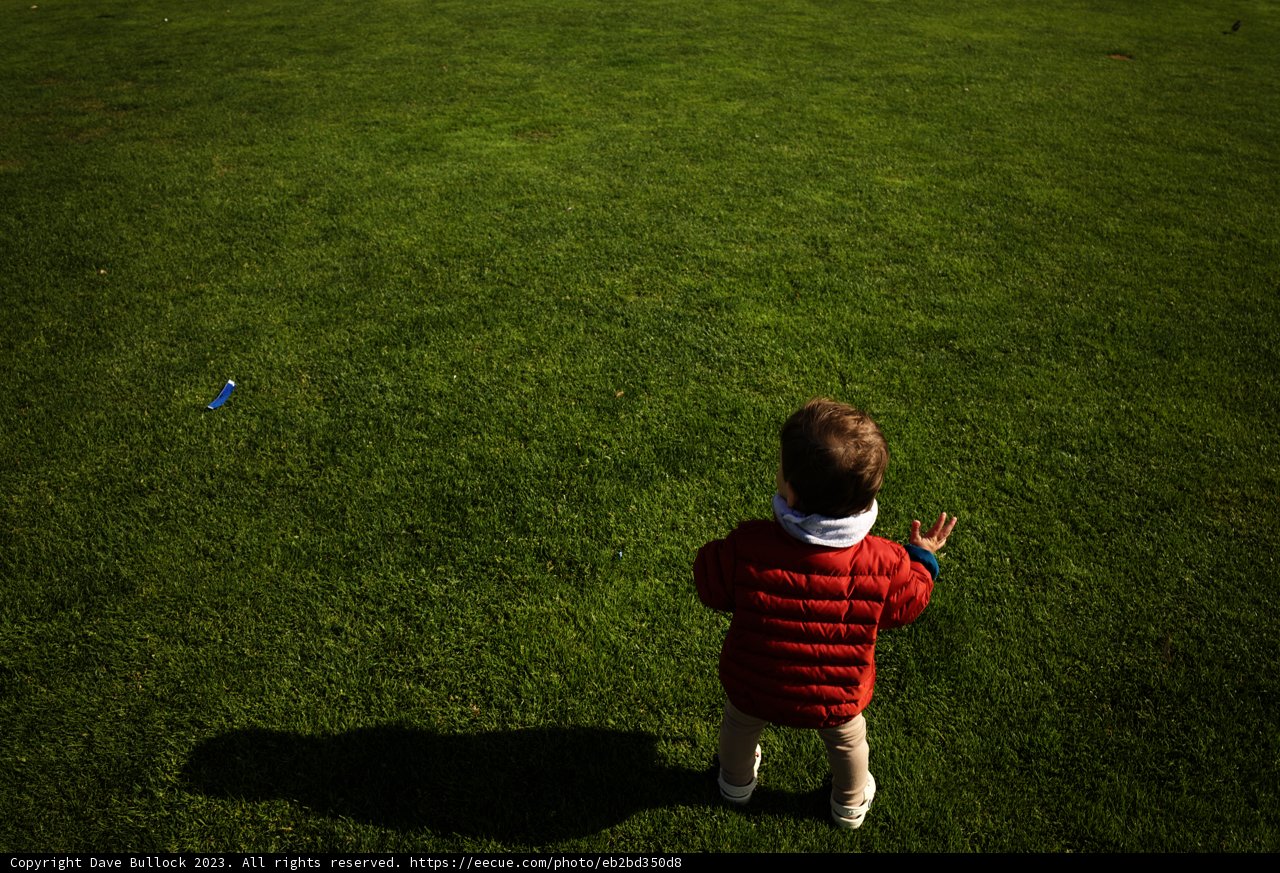 Boyhood Freedom: Soaring Ambitions