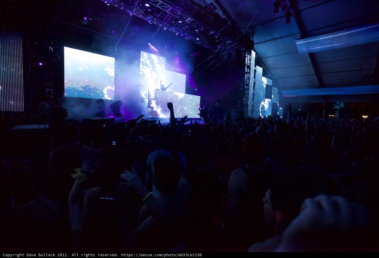 Rocking with the Crowd