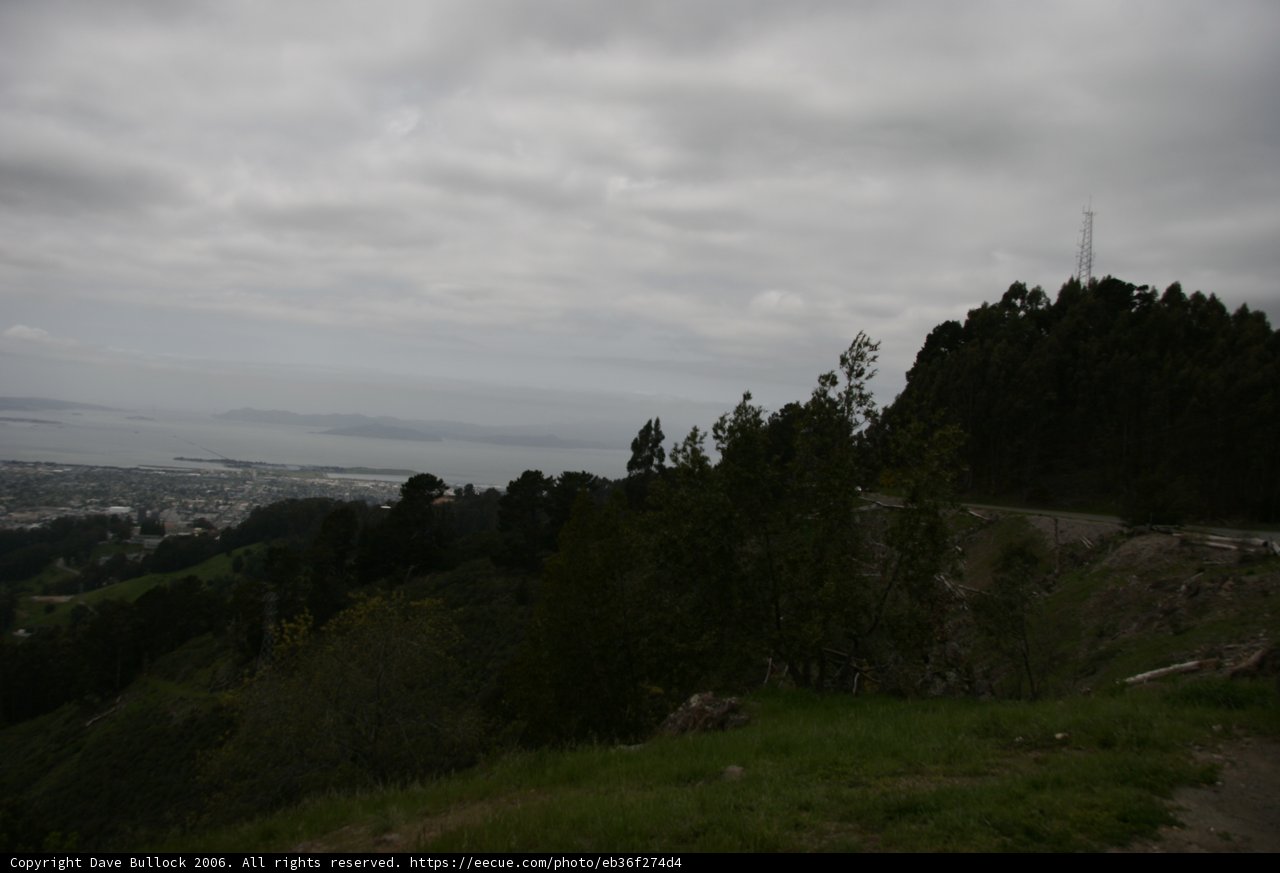 Hillside View of San Francisco