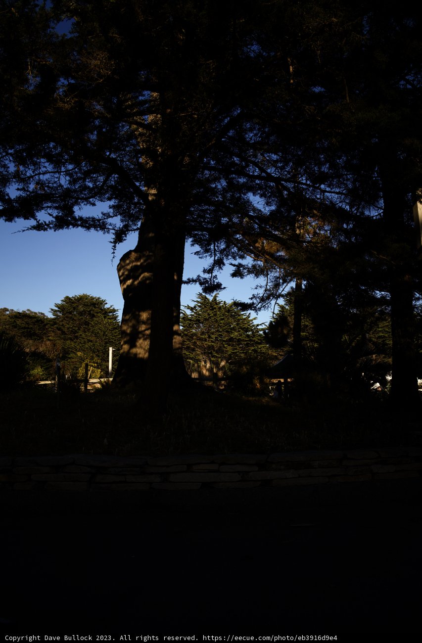 The Grandeur of Delores Park