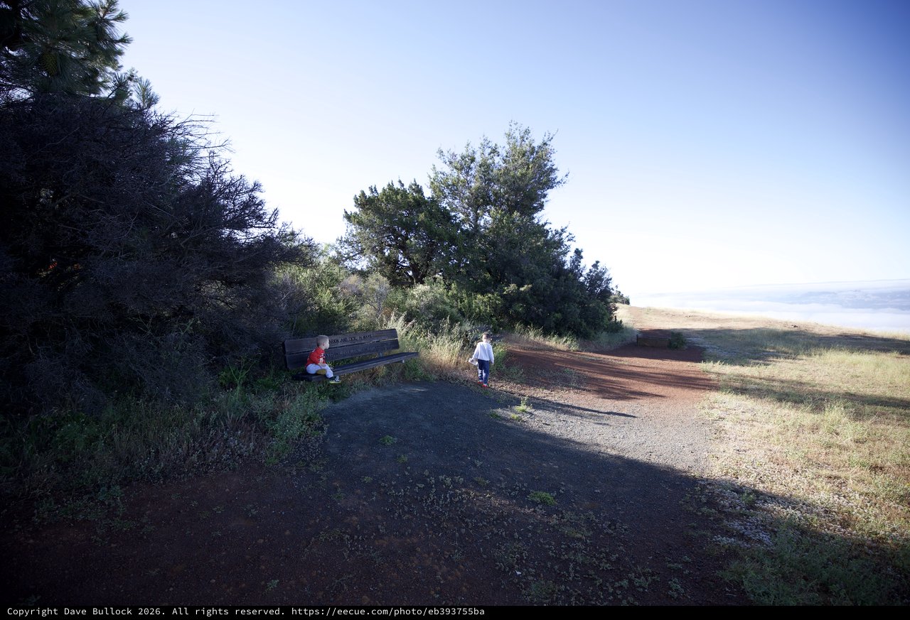 Children Exploring a Hilltop Trail at Mount Diablo