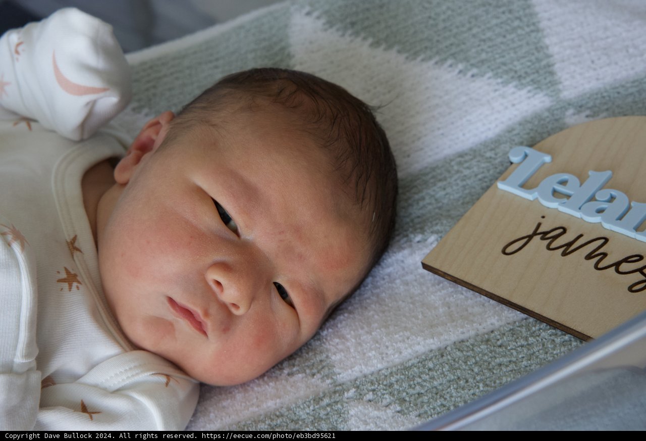 Welcome to the World, Leland