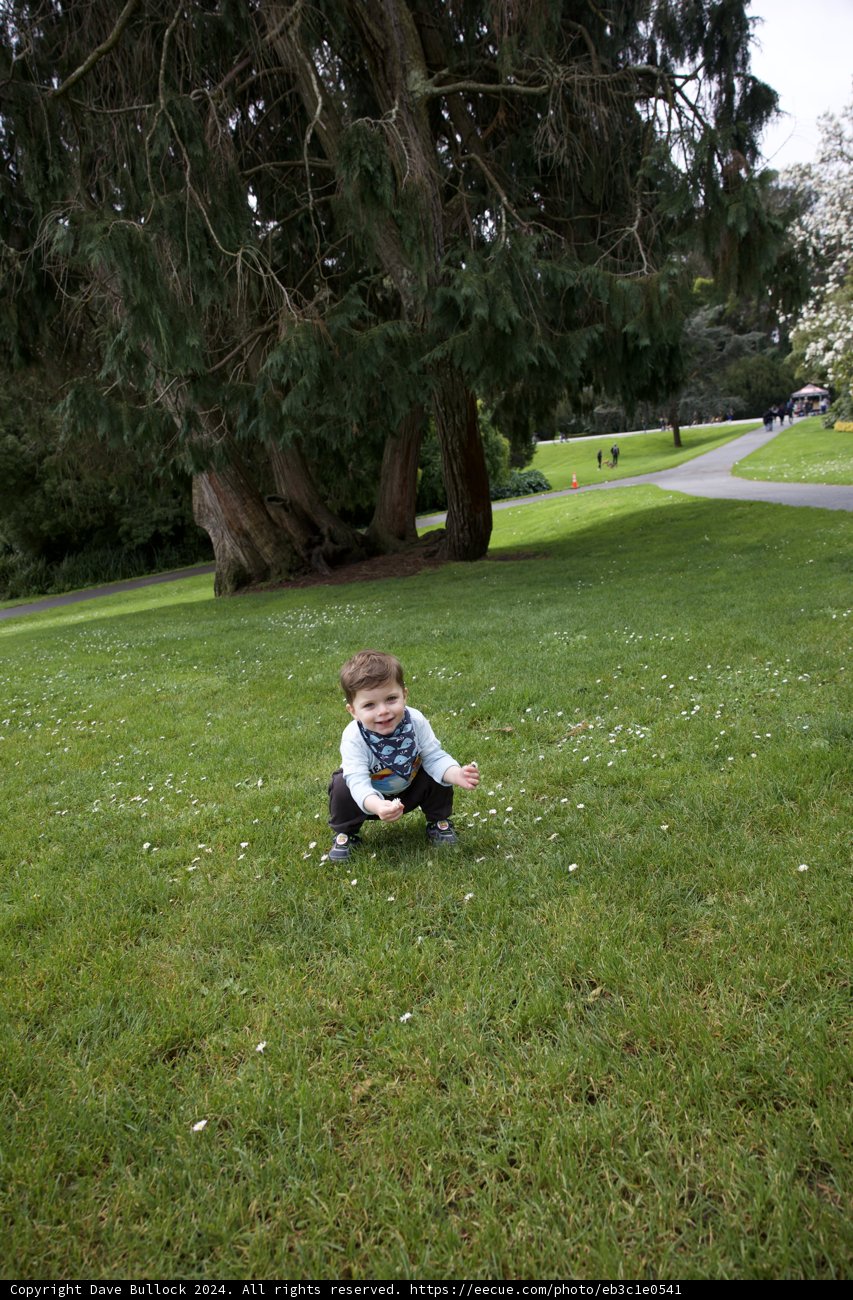 A Moment of Tranquility at Golden Gate Park