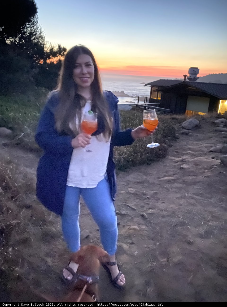 Wine, Sunset, and My Furry Best Friend