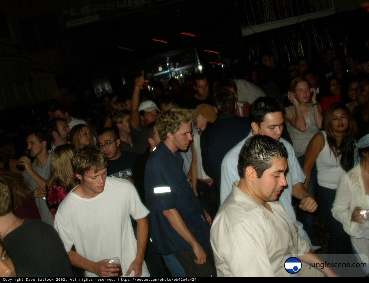 Nightlife Fun at Club Muse