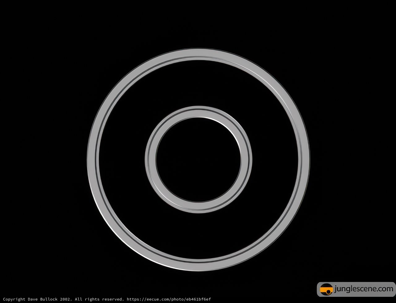 The Spiraling Disk