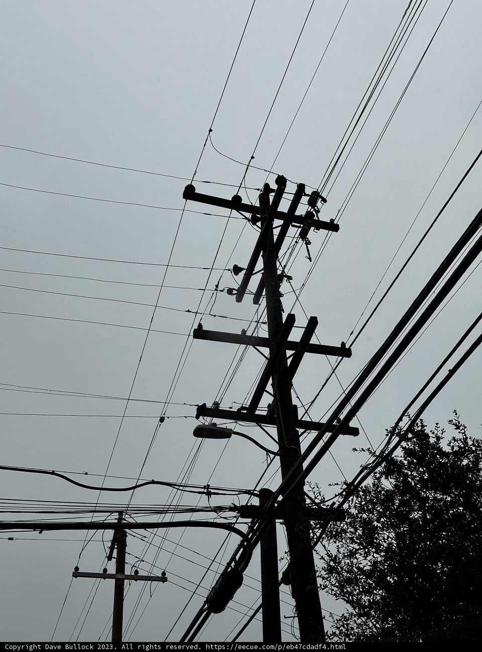 Wired Wonderland