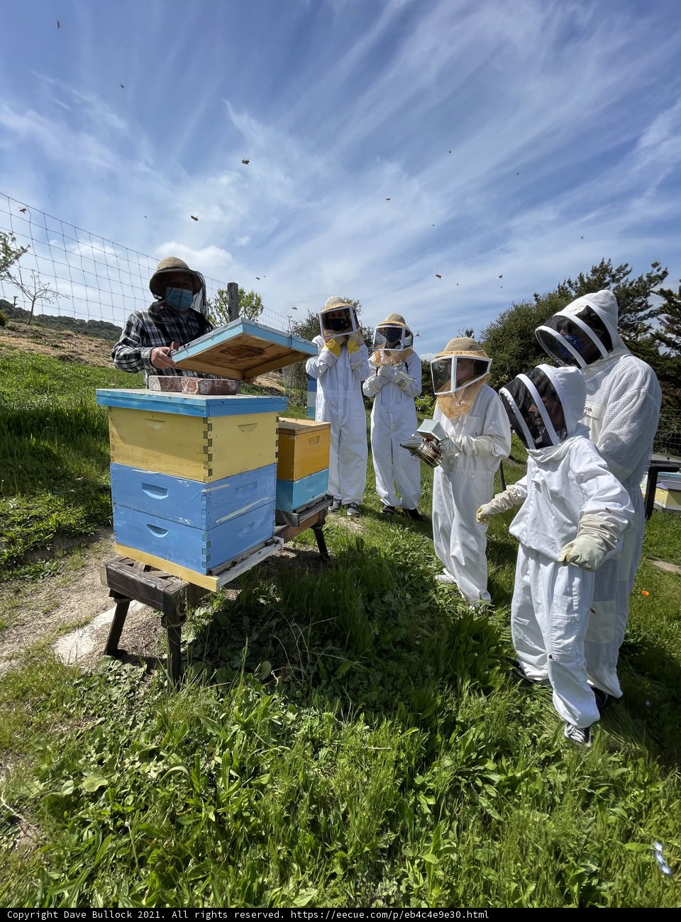 Beekeepers Tend to Their Hives