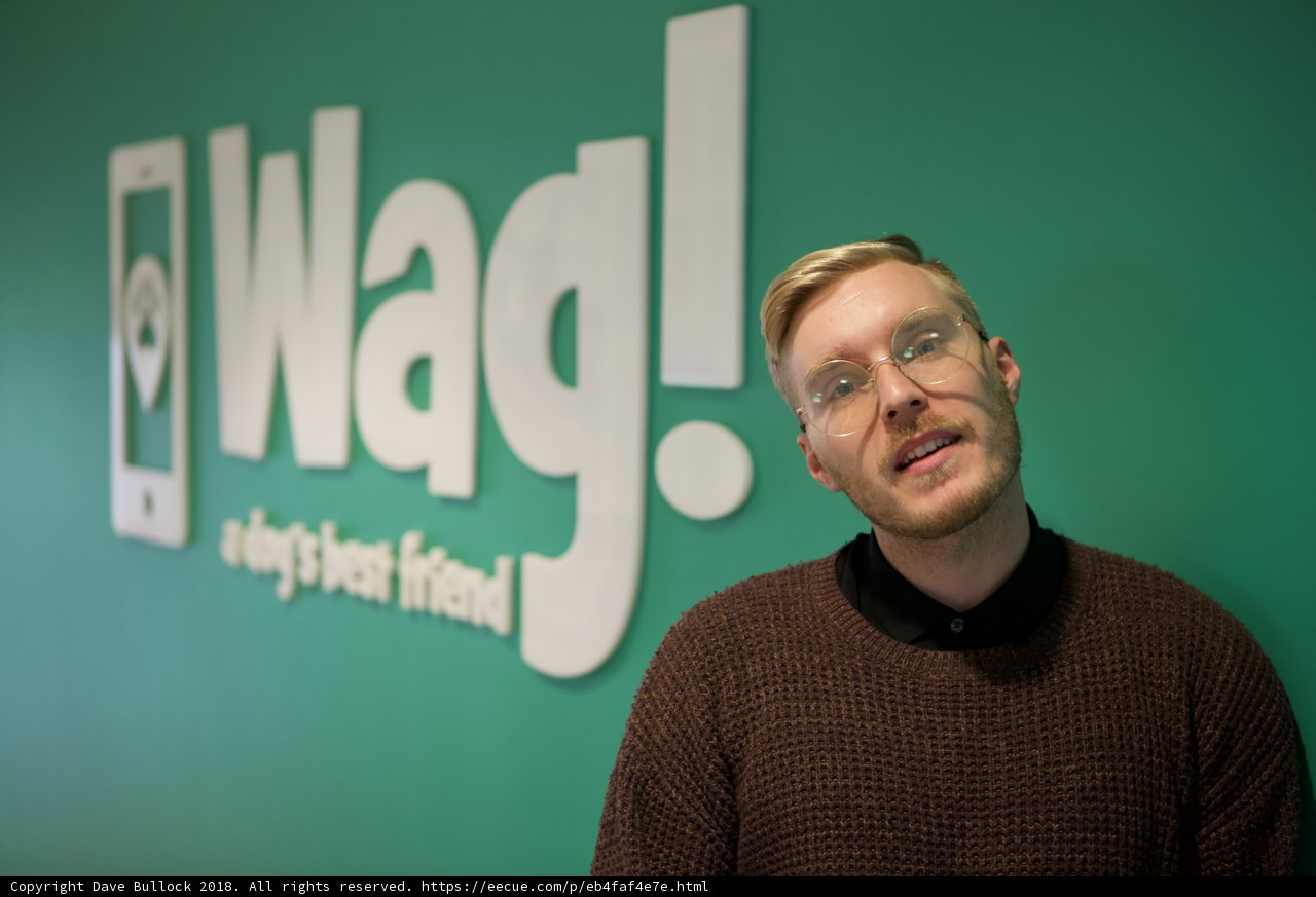 Making Friends with wag