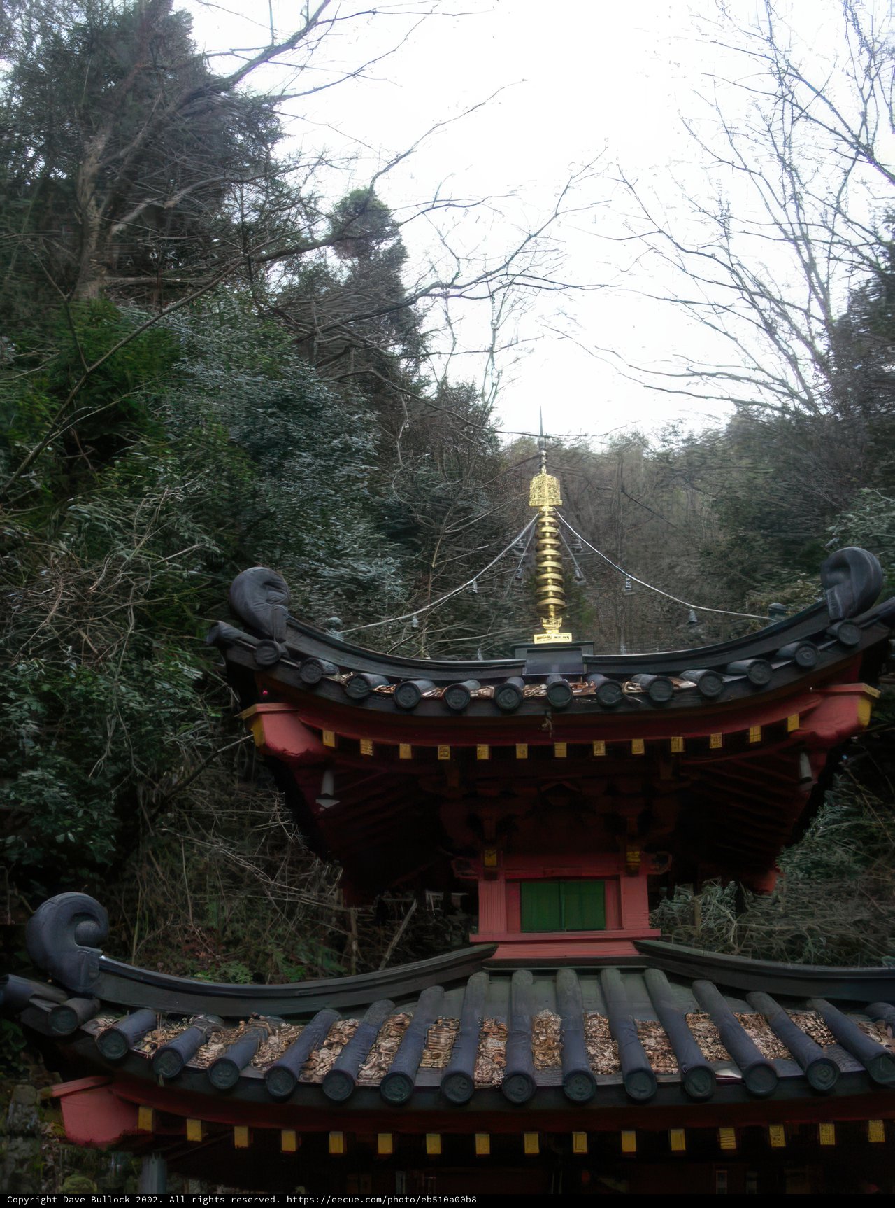 Majestic Red and Gold Pagoda in the Forest
