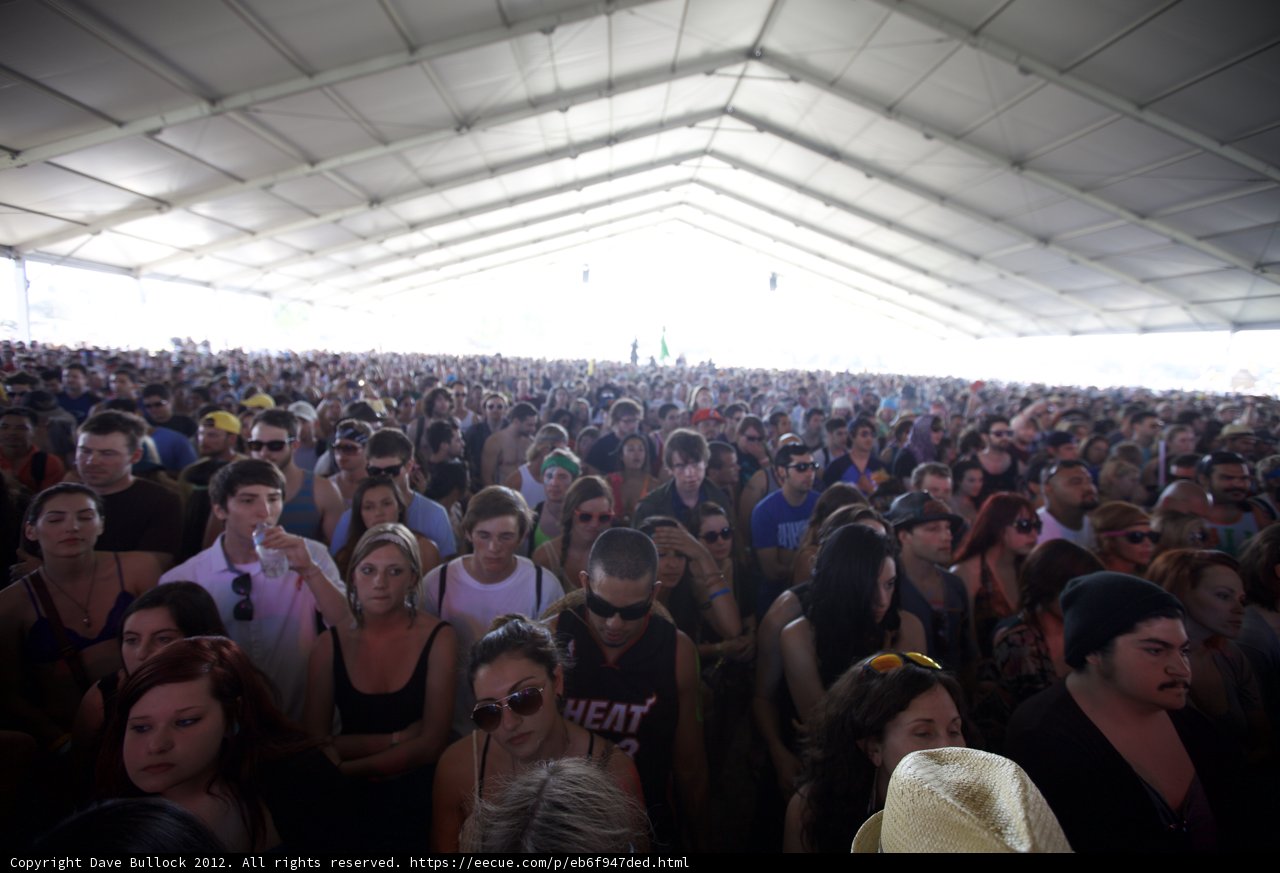 Concert Crowd at Coachella 2012