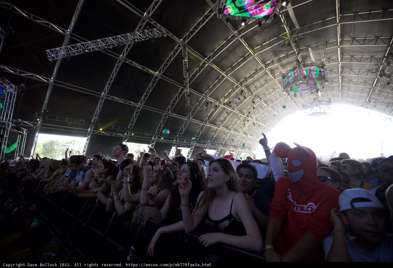 Hands Up at Coachella Concert