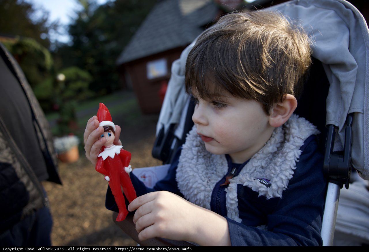 Enchanted Moments at Thistlewyck