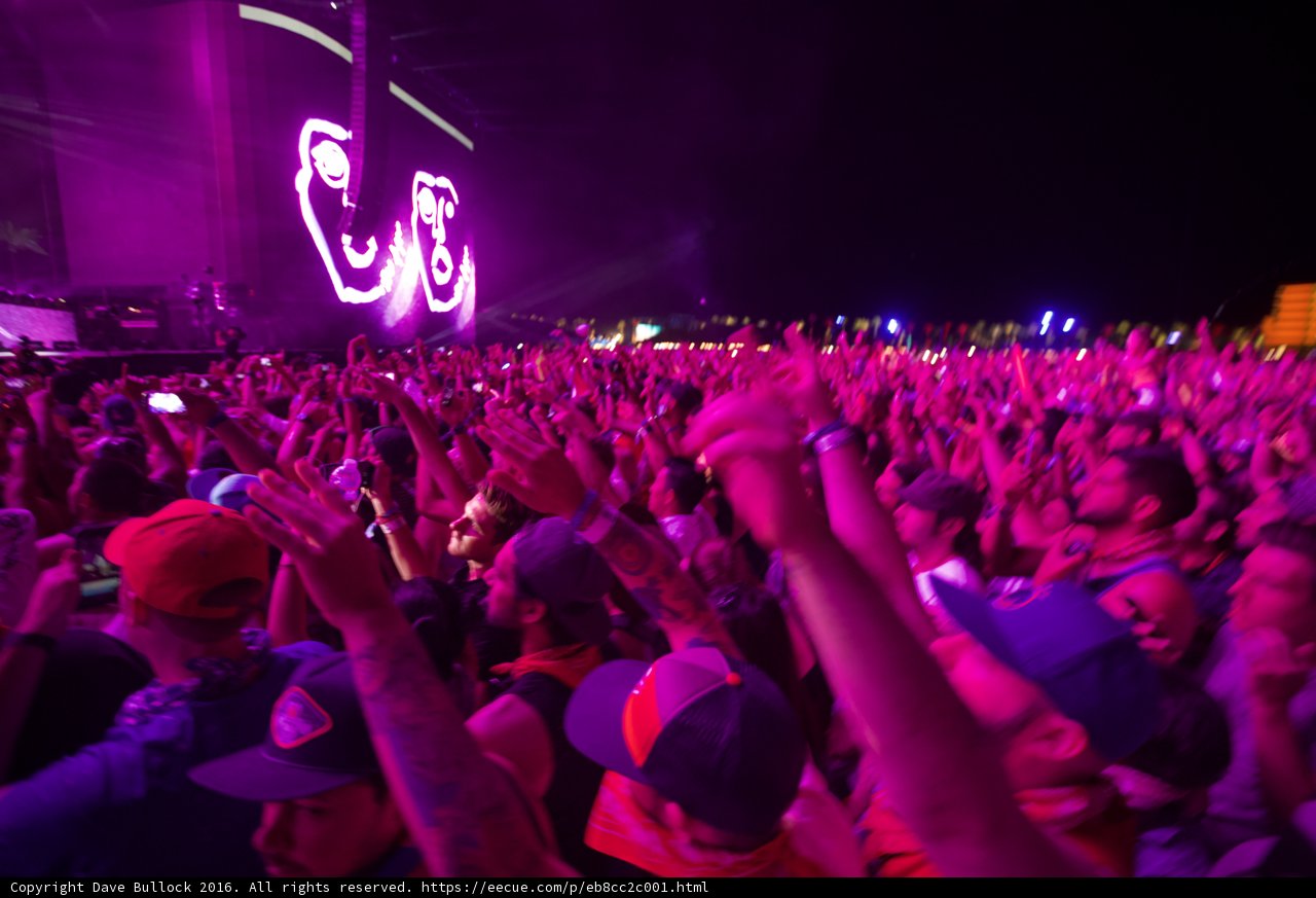 Purple Haze Concert Crowd
