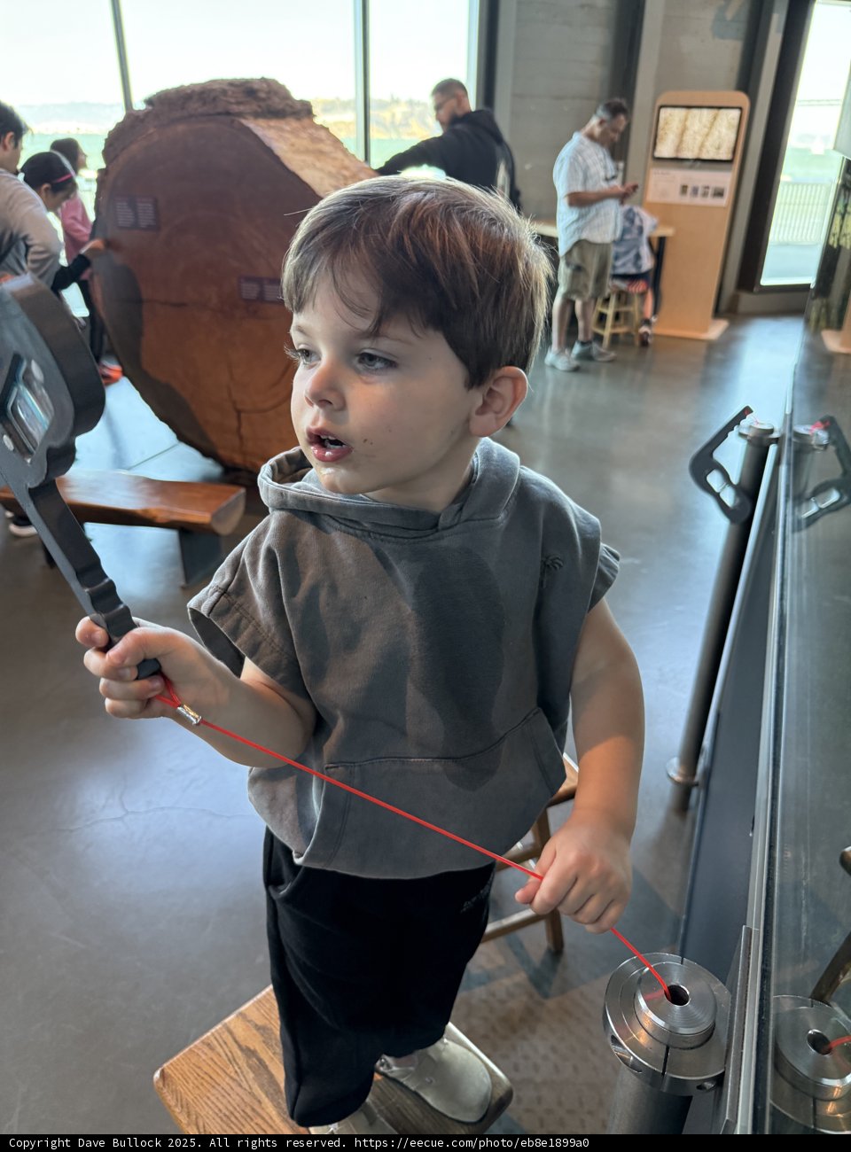 Curious Explorations at Pier 15