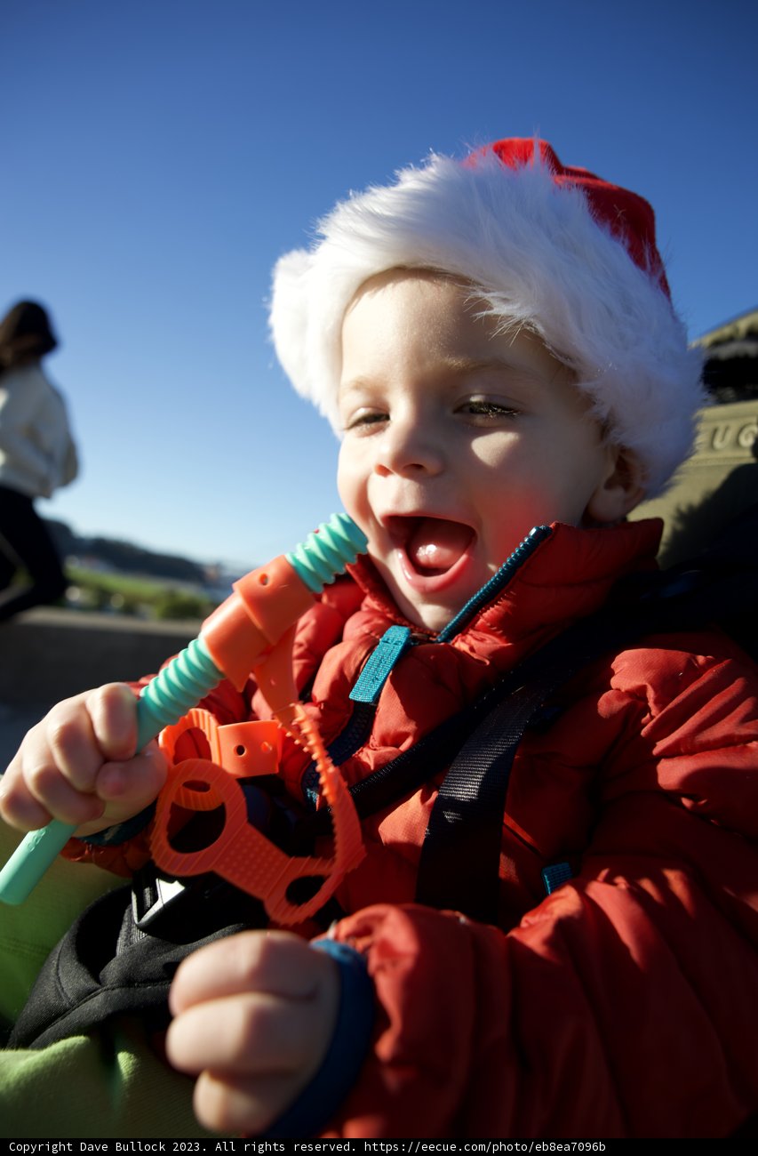 Christmas Brush-Time Fun in 2023