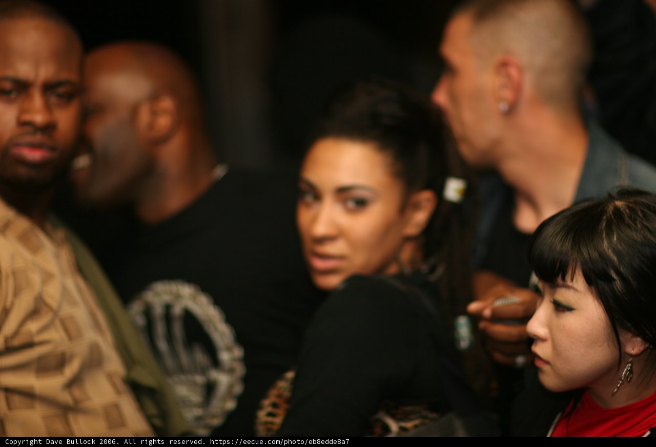 Night Club Gathering