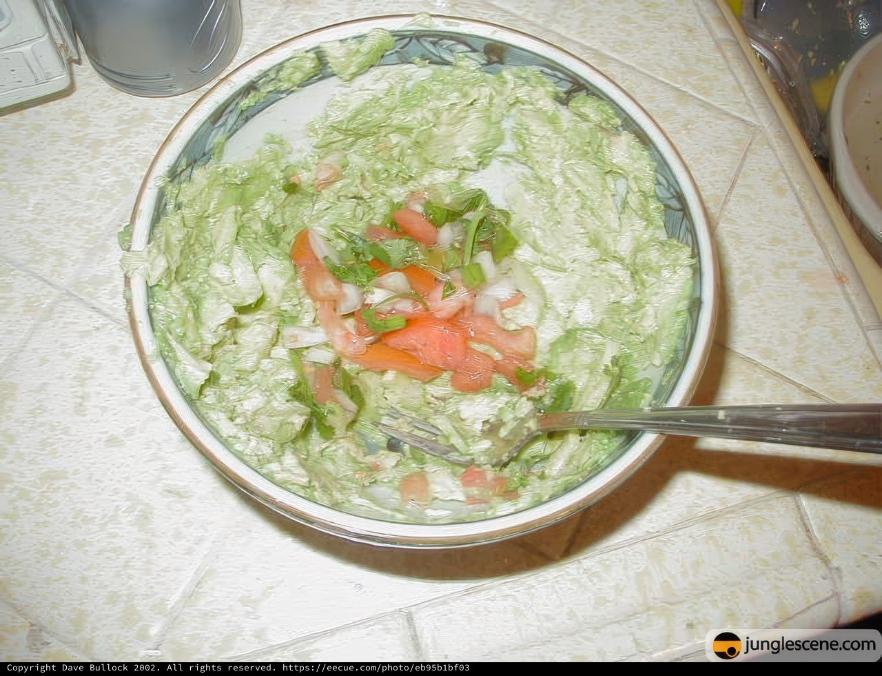 Fresh and Delicious Salad