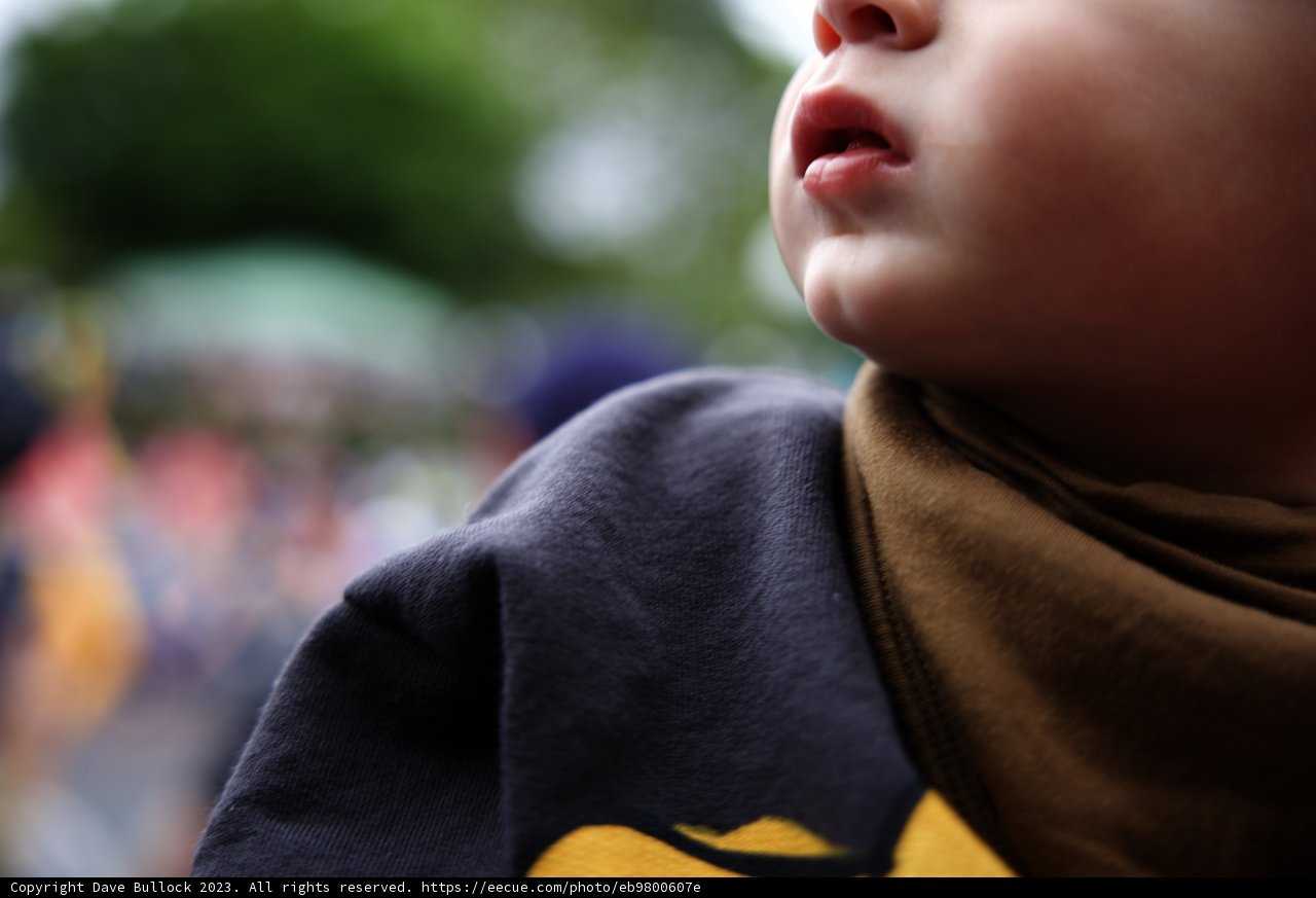 Little Explorer at Disneyland