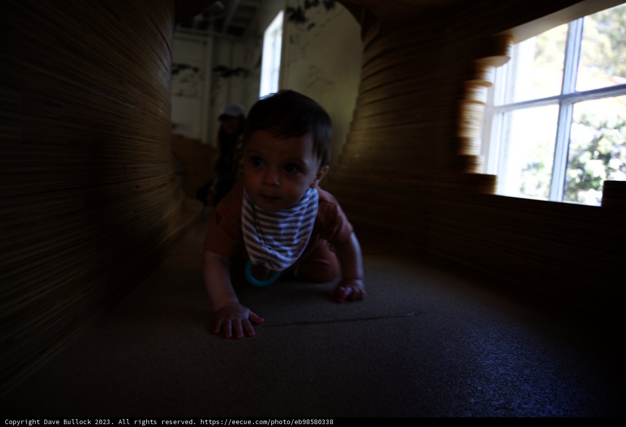 Wesley's Crawling Adventure at Bay Area Discovery Museum