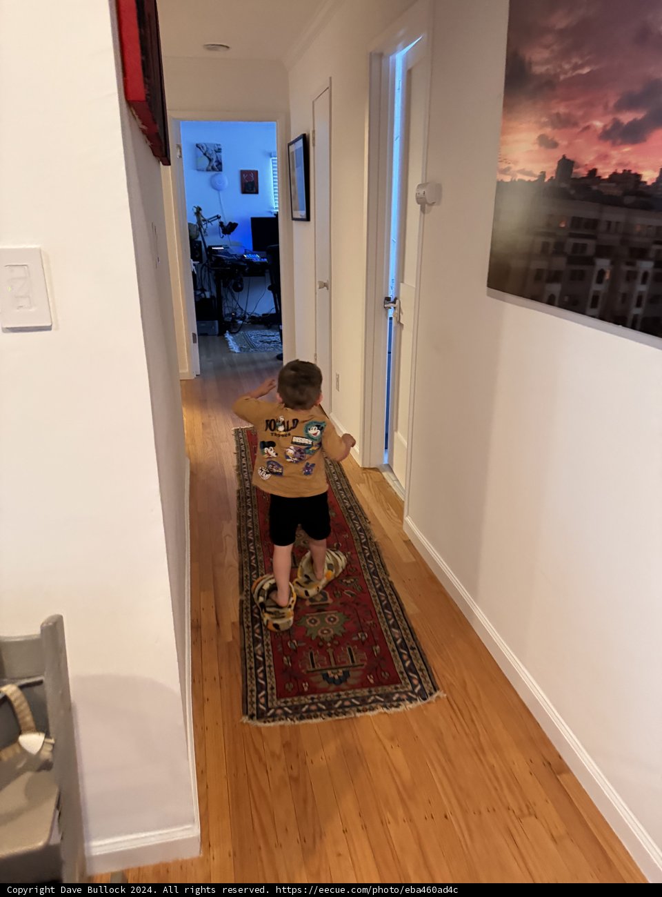 Little Adventurer