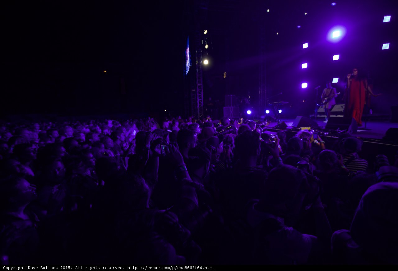 Florence and the Machine Crowd Purple Lights