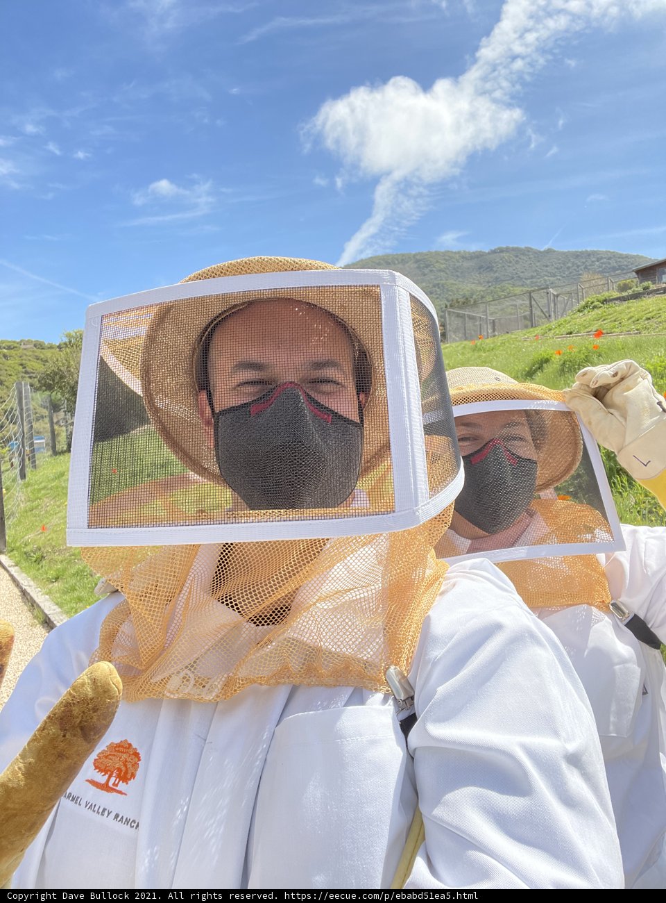 Beekeeping in Carmel