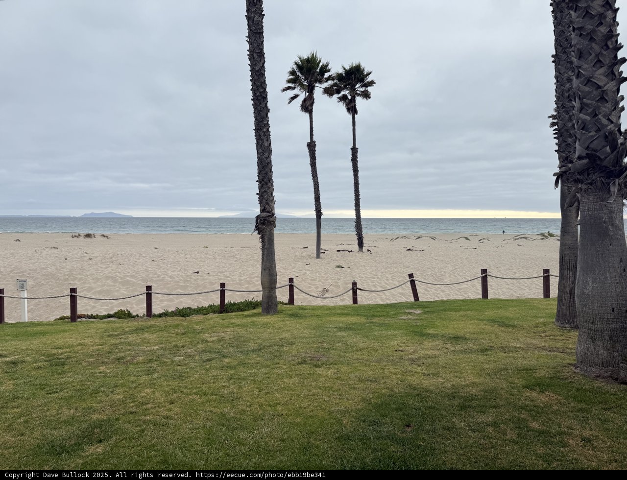 Tranquil June by the Shore