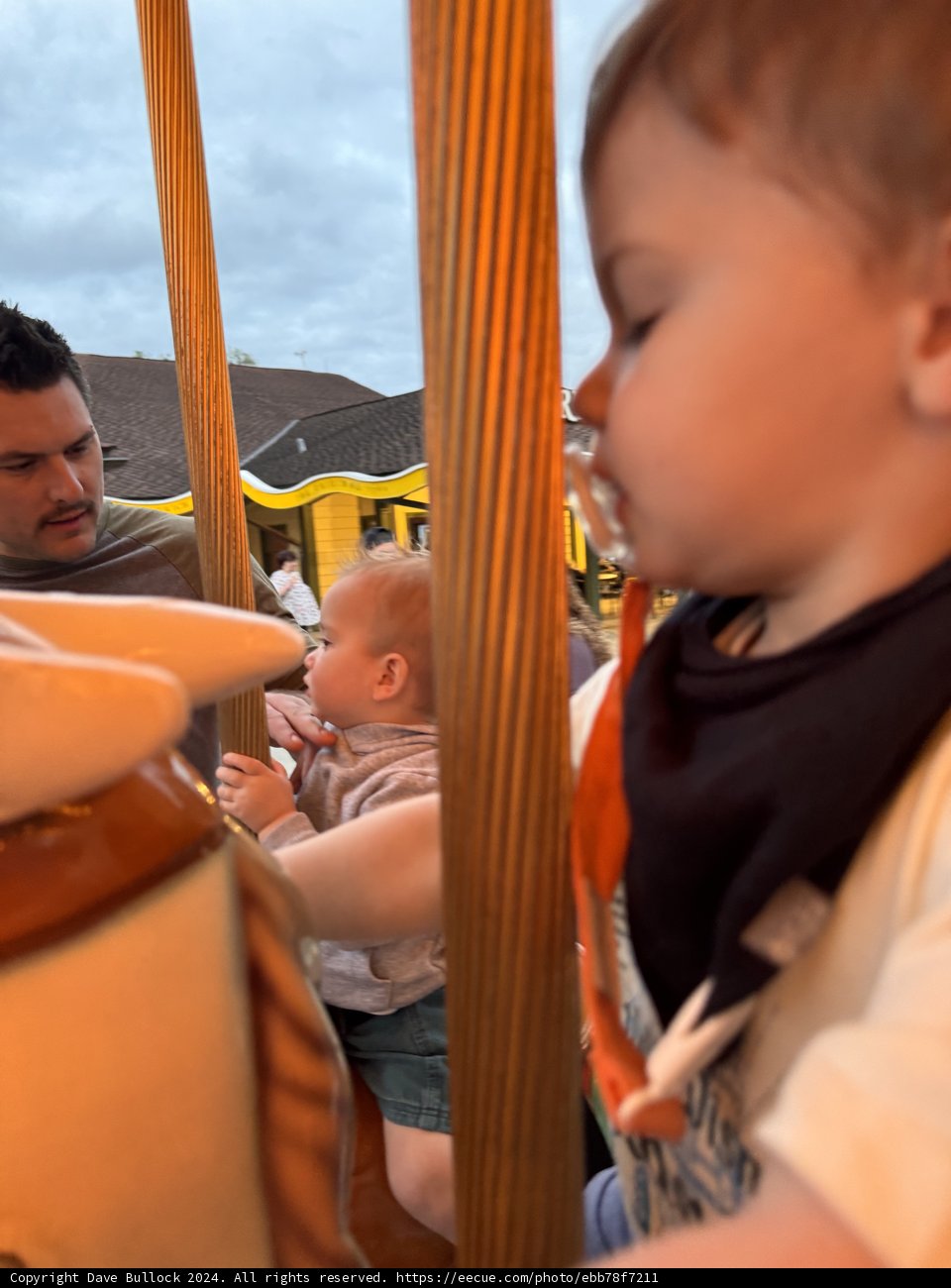 Carousel Dreams