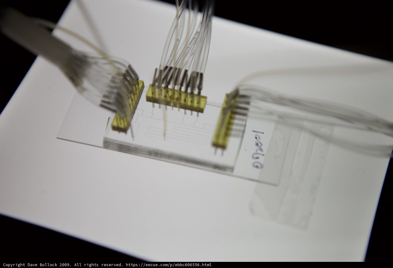 Close-up of a Wired Computer