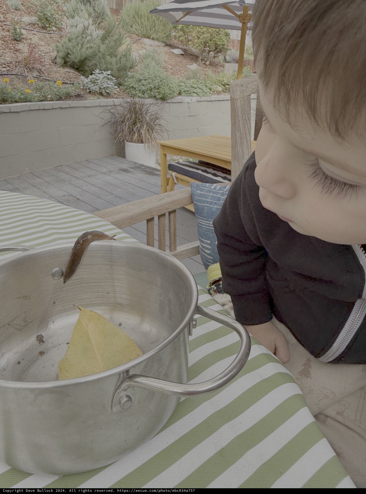 Young Child Enjoying Outdoor Cooking Experience