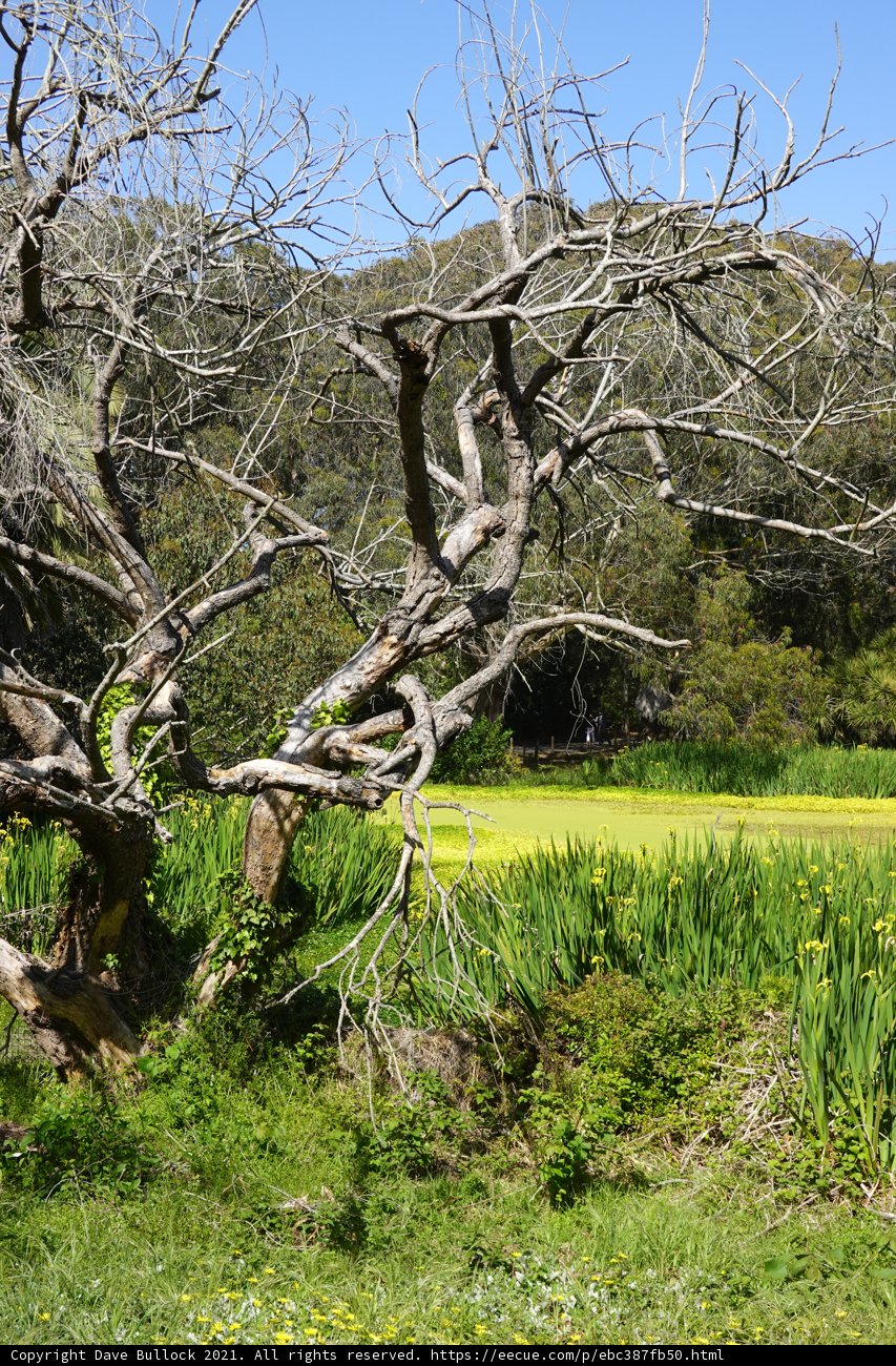 Solitude in the Wilderness