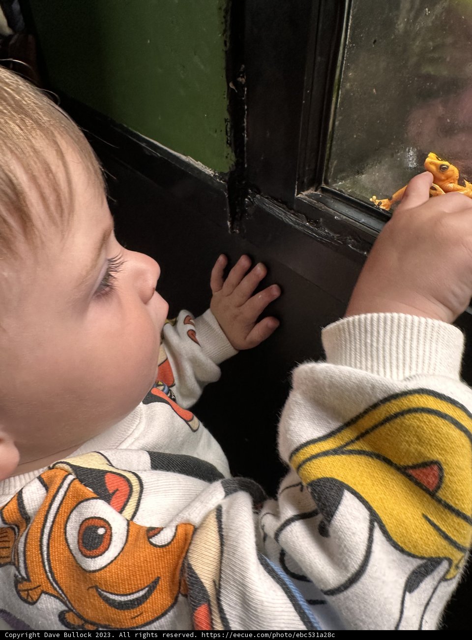 A Baby's Wonder