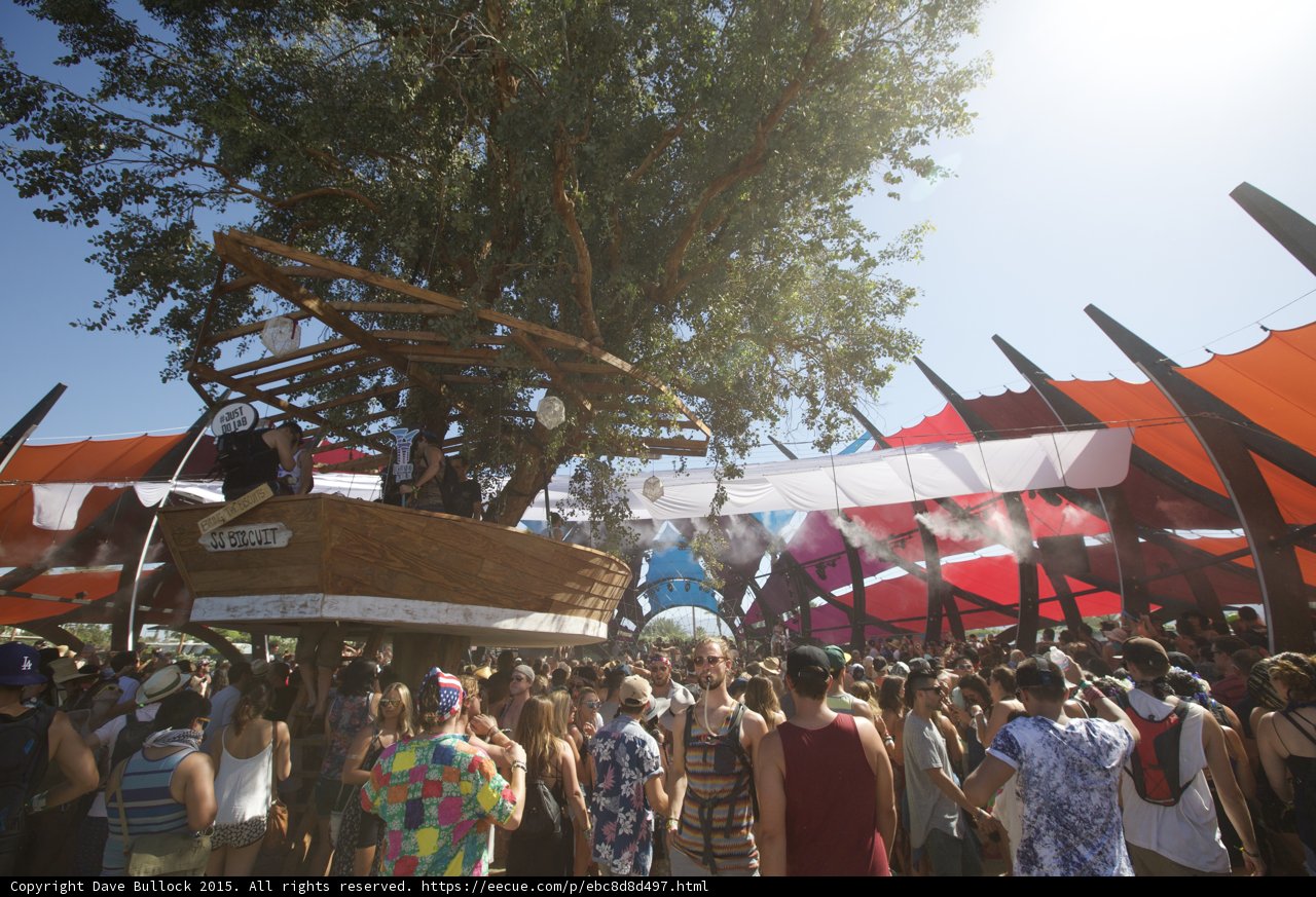 Festival Fun Under the Tree