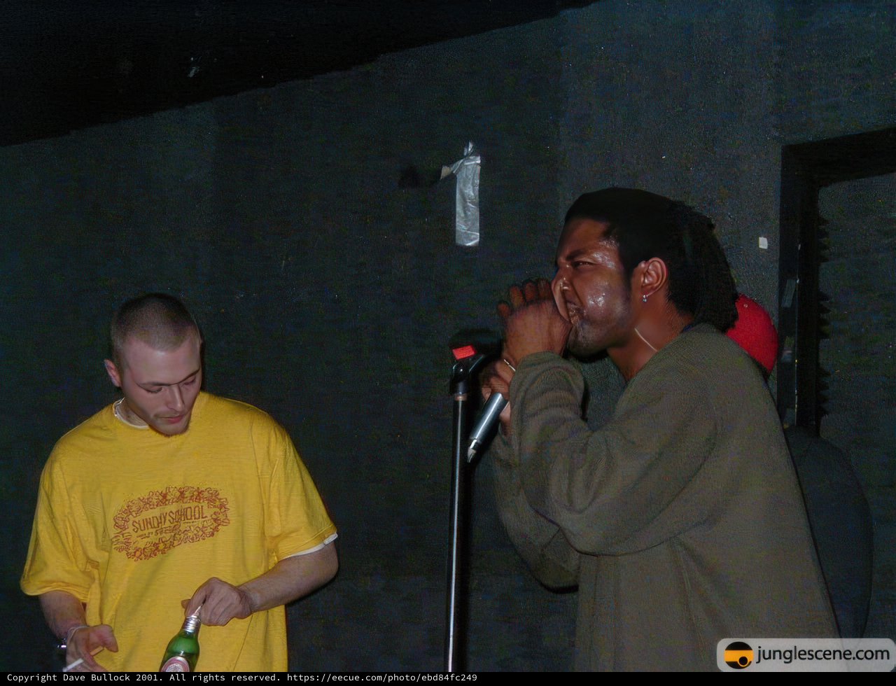 The Entertainer with the Microphone