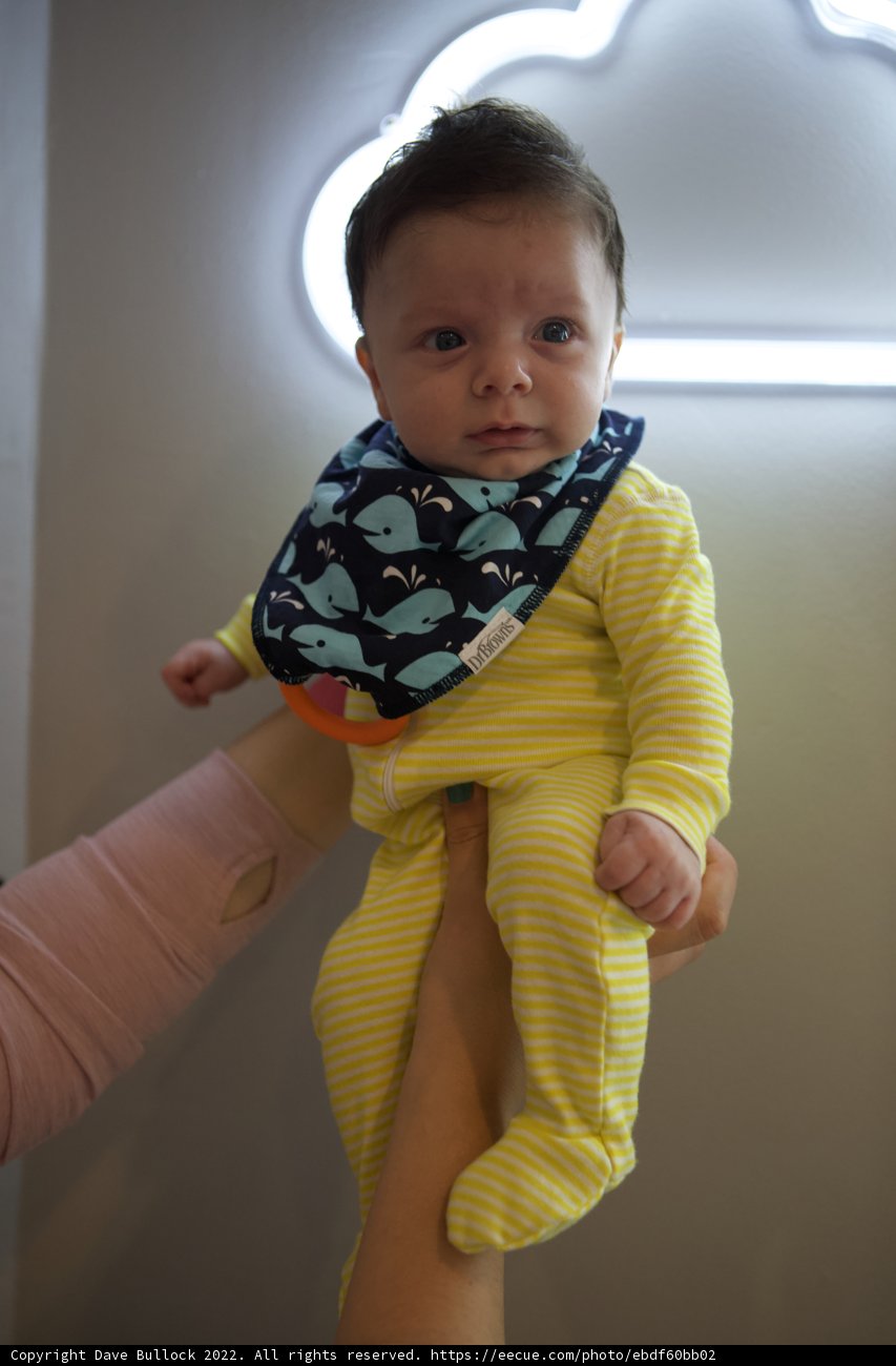 Wesley's Wonderful World at 2 Months