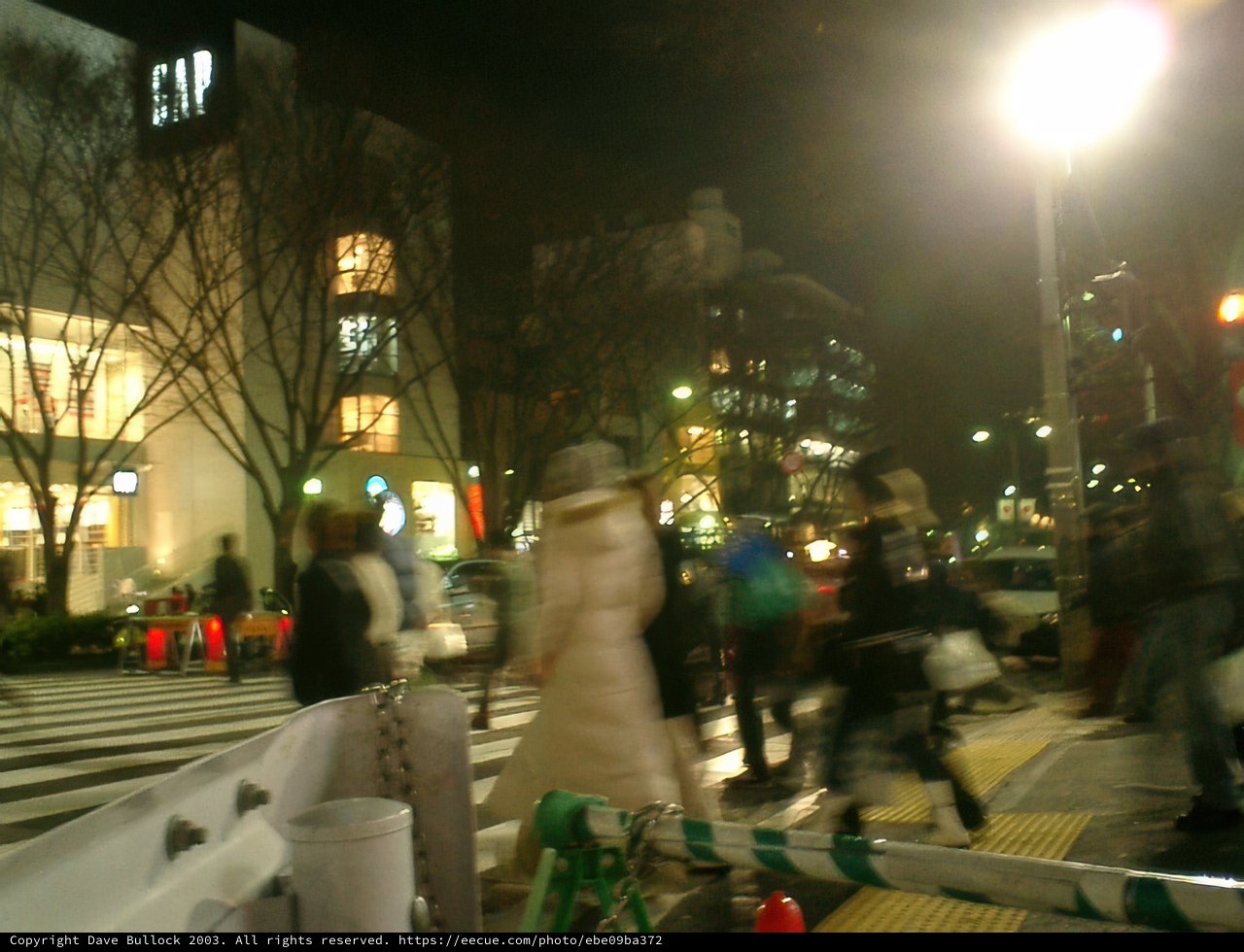 Night Stroll in Shinjuku