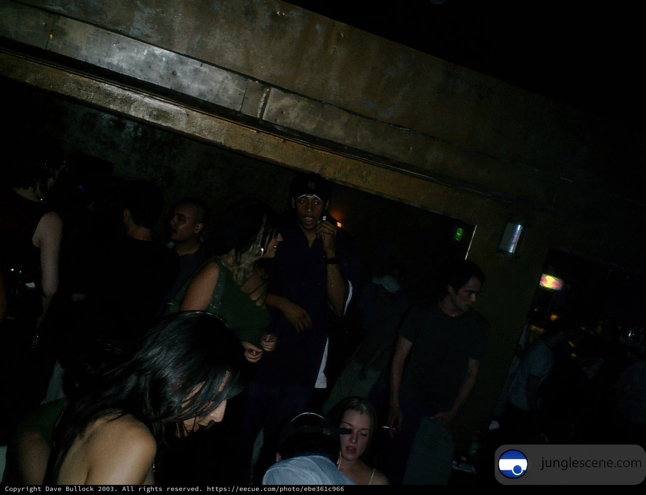 Night Club Crowd on a Night Out