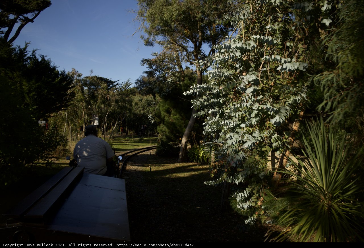Tranquil Afternoon at the SF Zoo Park