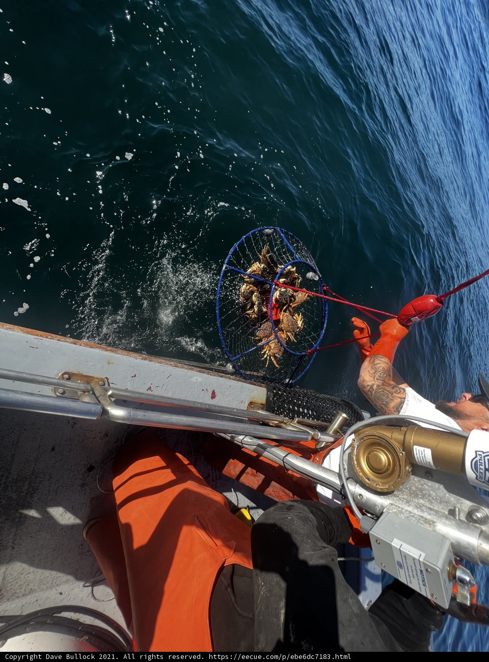 Fishing on the Gulf of the Farallones
